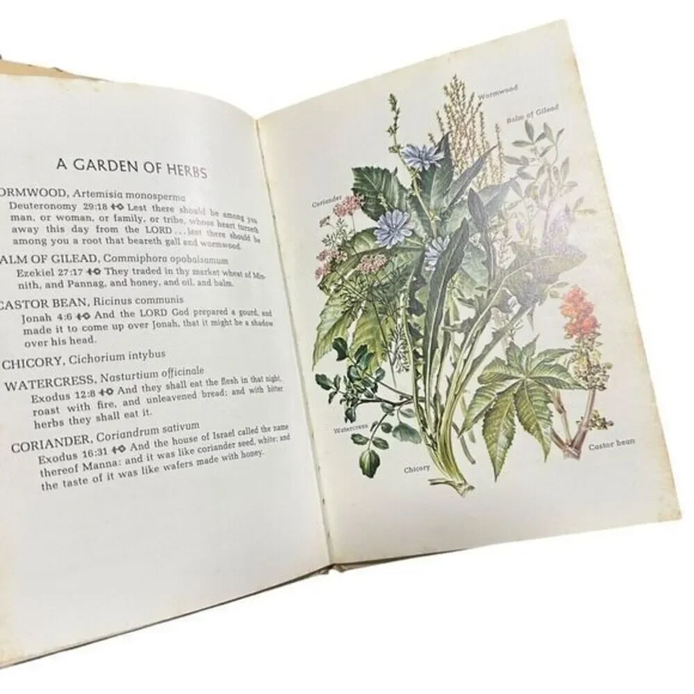 Plants of the‎ Bible  (1st Ed) by Louis Untermeyer, Anne Orphelia Dowden